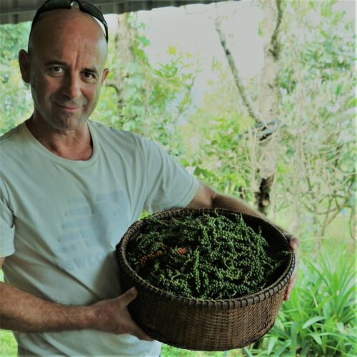 Olivier poivre de kampot